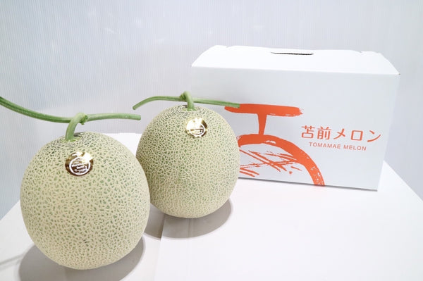 【9月発送予定：送料込み】苫前村上メロン 2玉 - 赤肉（村上農園）