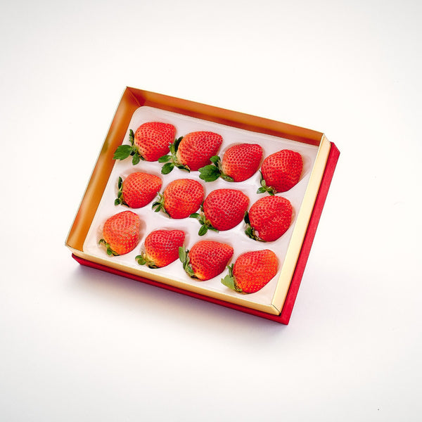 【12月～4月発送予定：送料込み】あまおう「匠」EX 400g（ベロア箱）・いちご（うるう農園）