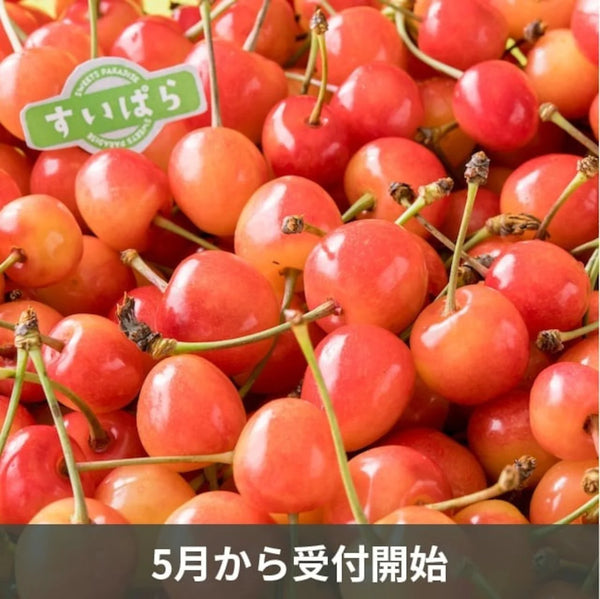 【6月発送予定】山形県産「佐藤錦」さくらんぼ（1kg以上バラ）：送料無料