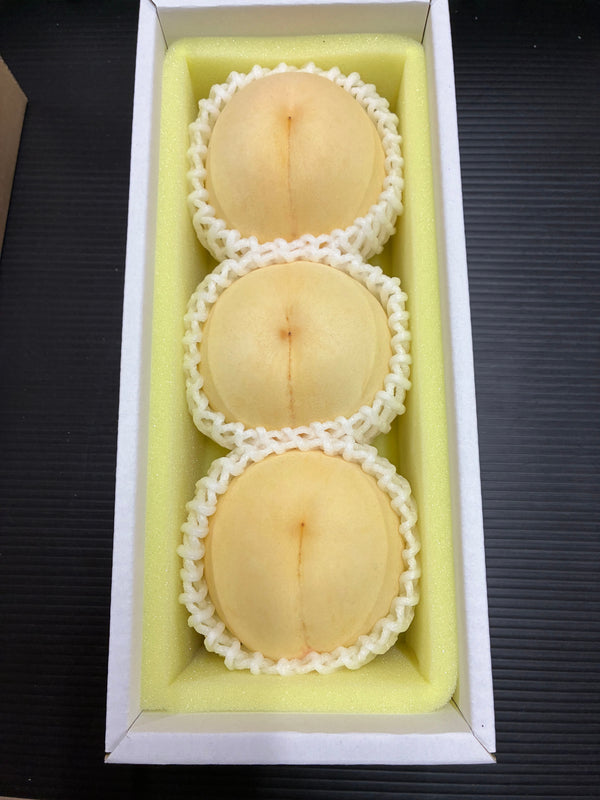 【8月発送予定：送料込み】岡山の桃 贈答用 3玉 約 1kg（竹中農園）