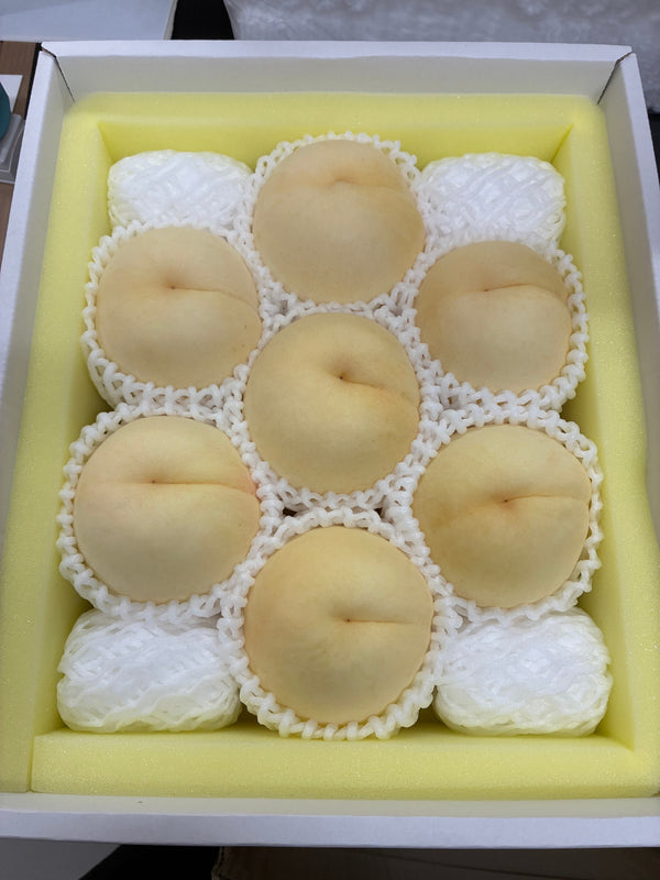 【8月発送予定：送料込み】岡山の桃 贈答用 6～9玉 約2kg（竹中農園）
