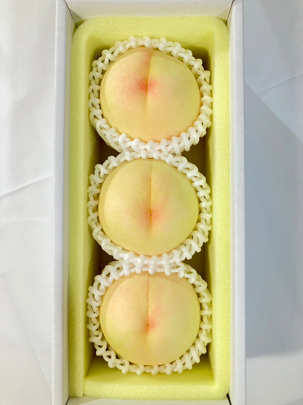 【8月発送予定：送料込み】岡山の白桃 「贈答用」3玉入り 約1kg（レアシュケ農園）