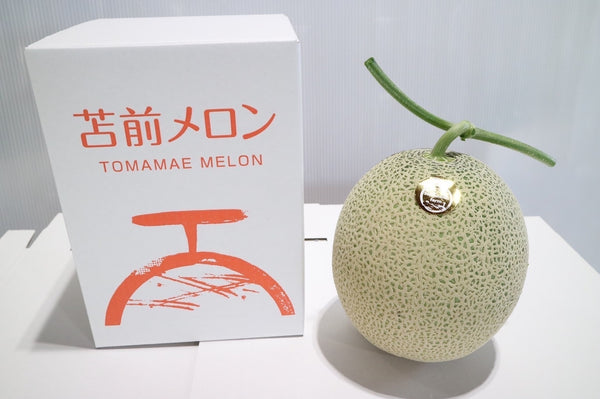 【9月発送予定：送料込み】苫前村上メロン 1玉 - 赤肉（村上農園）