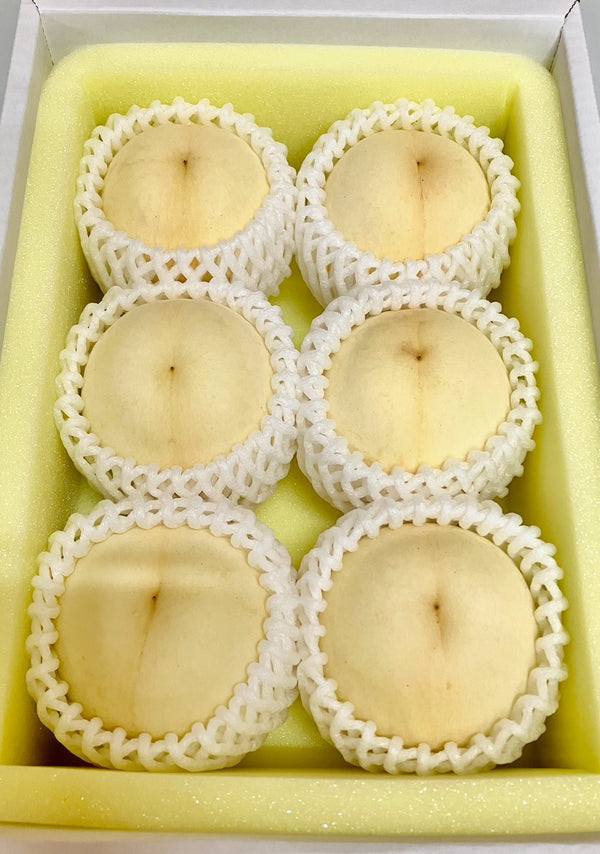【8月発送予定：送料込み】岡山の桃 贈答用 4～6玉 約1.5kg（竹中農園）